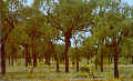 wpe8A.jpg (2735 Byte)