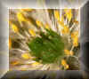 wpe1C5.jpg (2567 Byte)